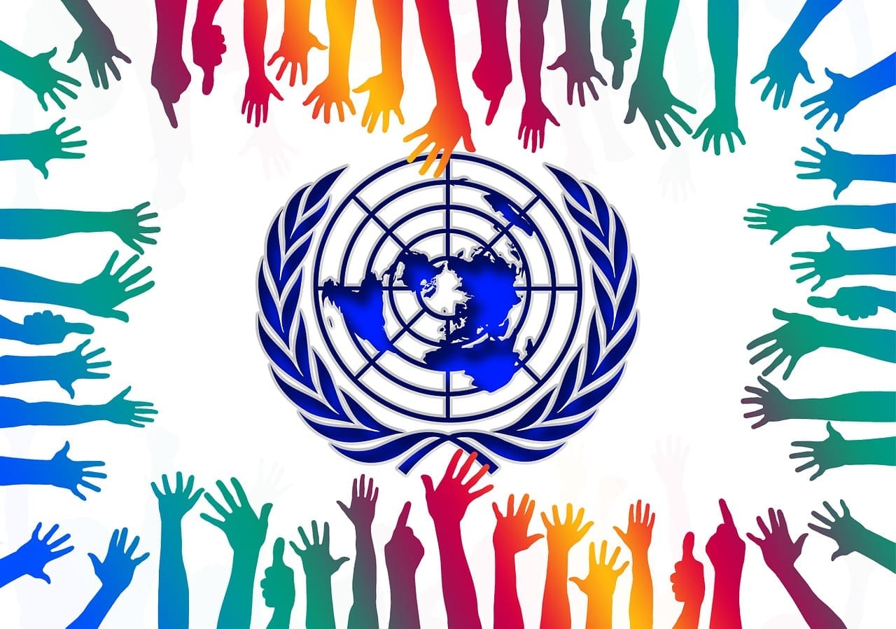 Growing Role of NGOs and the UN