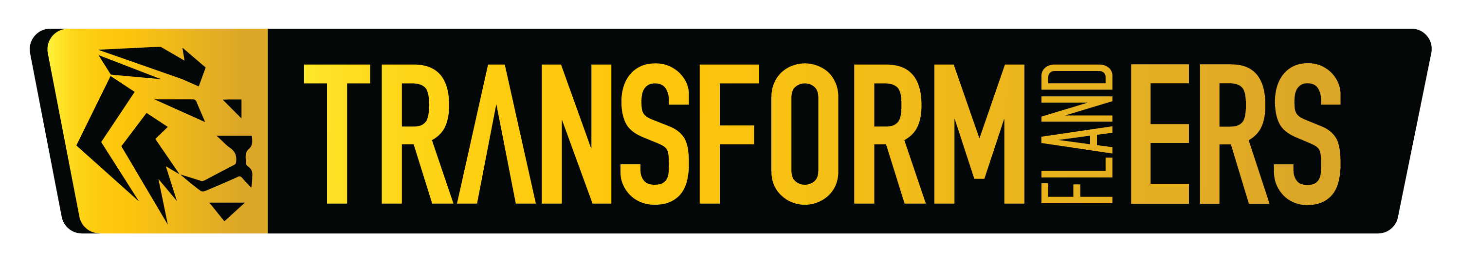 TRANSFORMFLANDERS-LOGO1 TRANSFORMFLANDERS-LOGO1